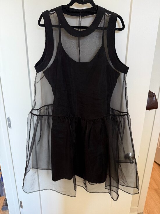 Anthropologie Dresses & Skirts - BHLDN Kendall Sleeveless High-Neck Organza Mini Dress / Black / XL